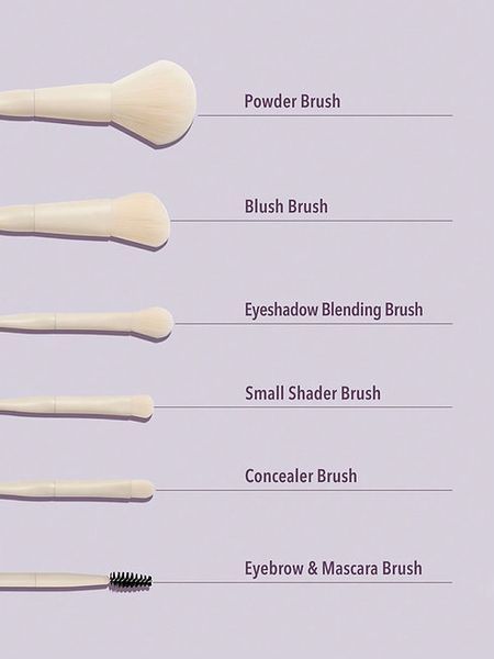 Набір пензликів для макіяжу SHEGLAM Pro Code Brush Kit (6 шт) 4_10_006 фото