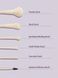 Набір пензликів для макіяжу SHEGLAM Pro Code Brush Kit (6 шт) 4_10_006 фото 2