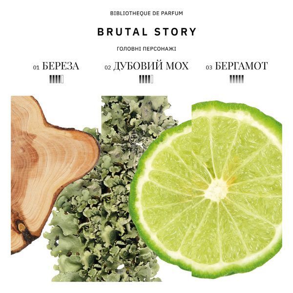 BIBLIOTHEQUE Brutal Story (Брутальна історія) парфумована вода (100 ml, men, EDP) 5_04_032 фото