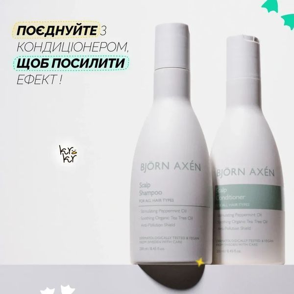 Bjorn Axen Шампунь для волосся Scalp Shampoo 250 ml 1_01_034 фото
