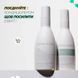 Bjorn Axen Шампунь для волосся Scalp Shampoo 250 ml 1_01_034 фото 4