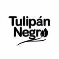 Tulipan Negro