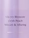 Спрей Love Spell Victoria&rsquo;s Secret 250 ml 5_01_024 фото 3