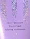 Лосьйон для тіла Love Spell shimmer Victoria&rsquo;s Secret 3_04_095 фото 3